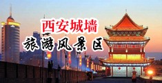 美女操大骚逼中国陕西-西安城墙旅游风景区